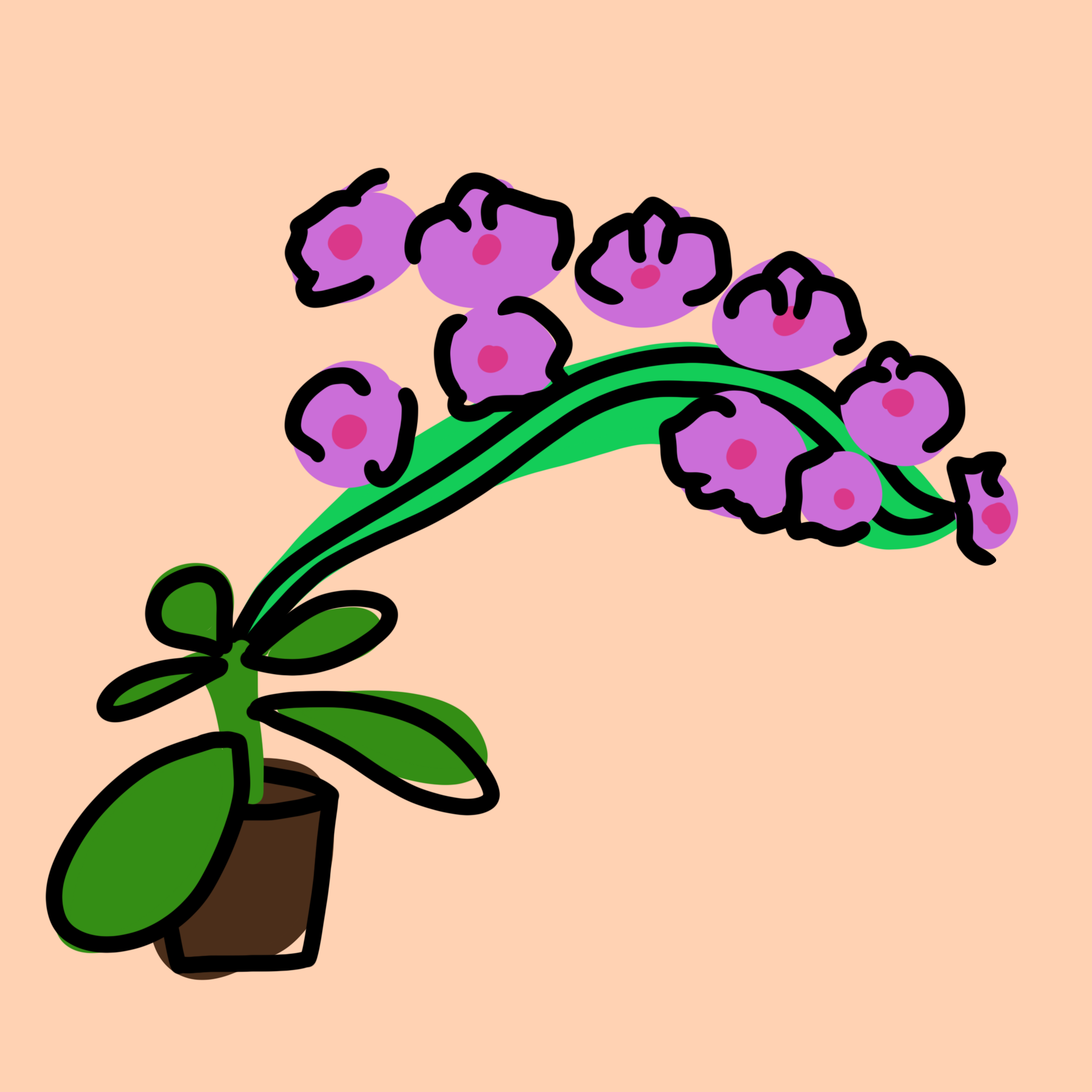 Drawing 47
